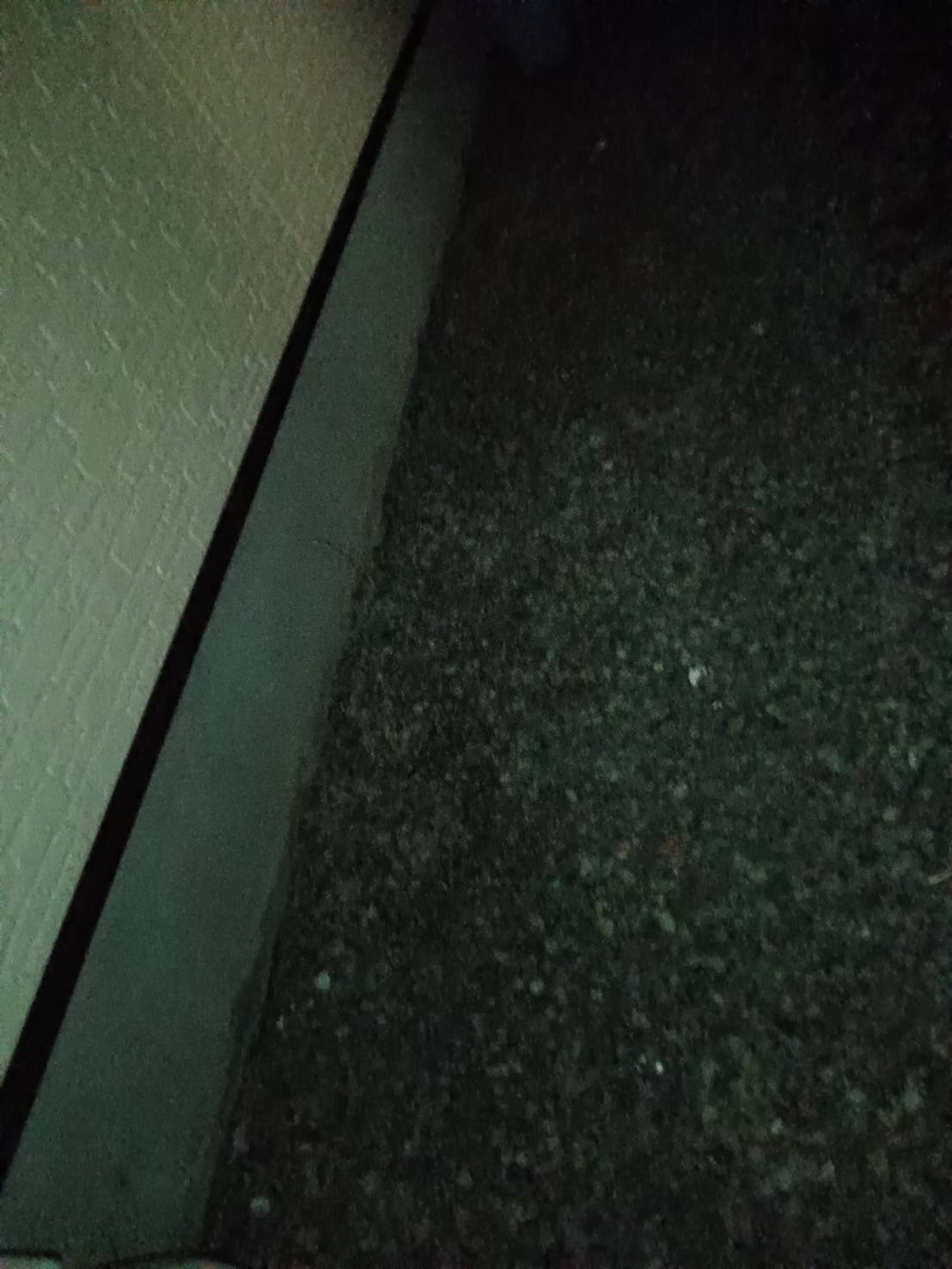 鹿児島県鹿児島市庭丸々片付け実績アフター