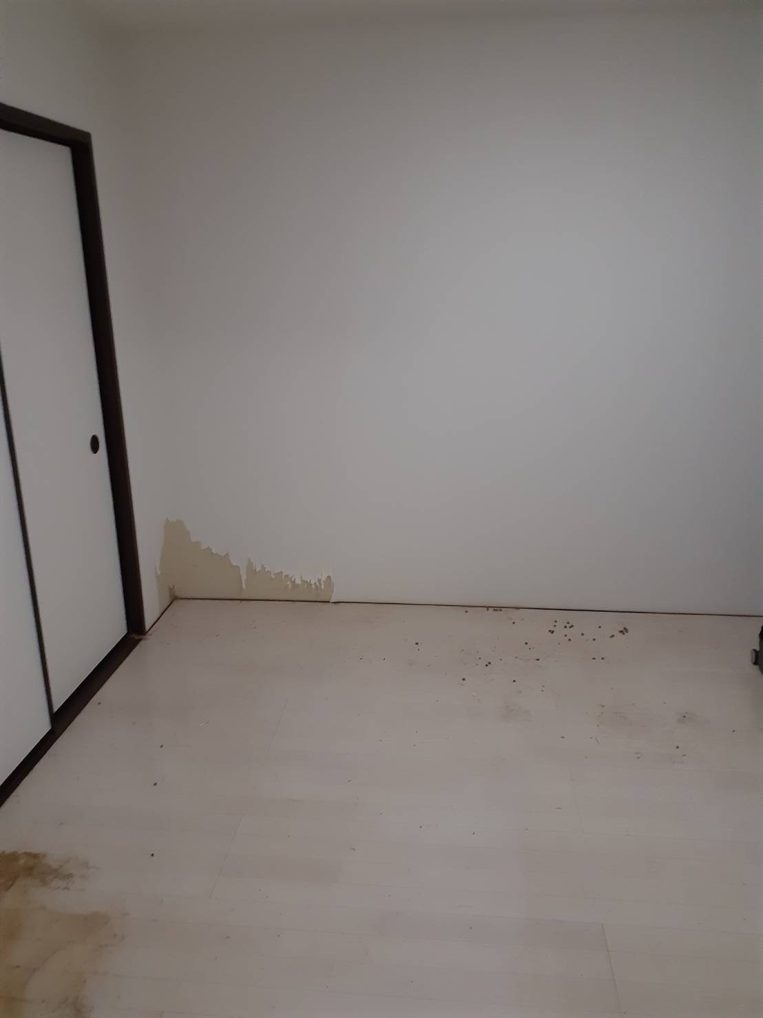 鹿児島県鹿屋市部屋丸ごと片付け実績アフター